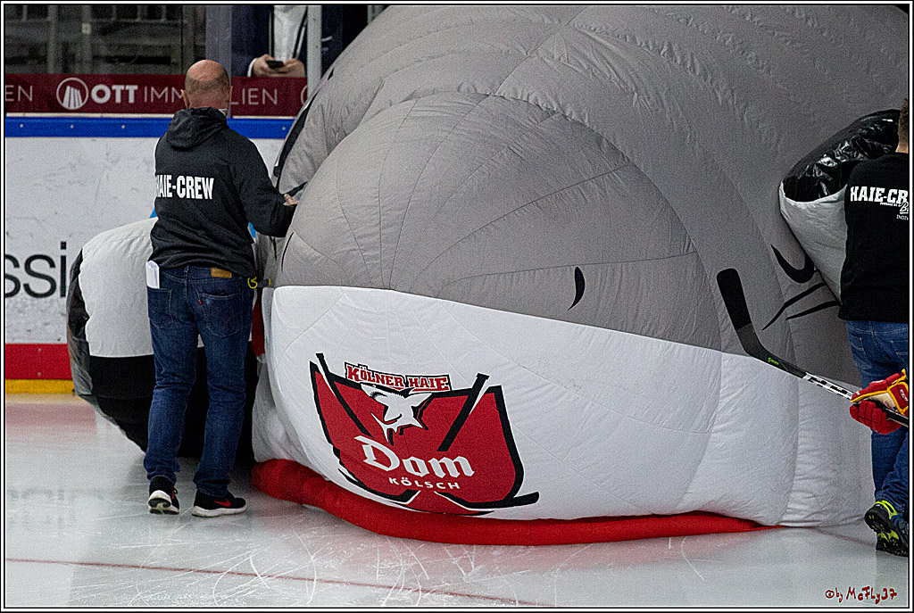 PENNY DEL;  Koelner Haie - Duesseldorfer EG ; Koeln, 17.12.2020